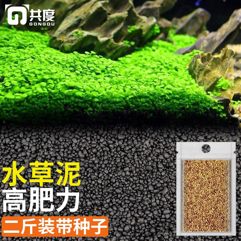 水族智能控制器：打造高品质鱼缸的秘密武器