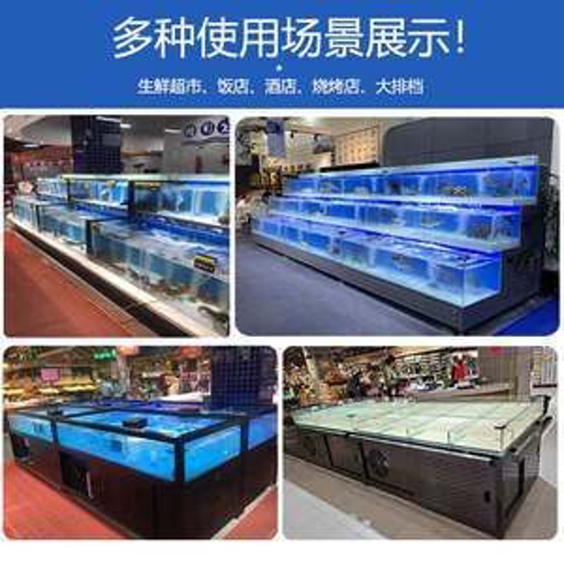 水草批发风云变幻：市场动态与机遇