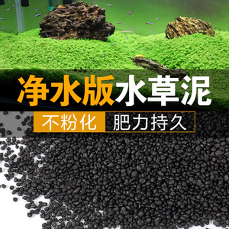 探索水草世界的奥秘与魅力
